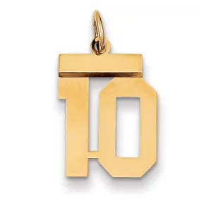 14k Yellow Gold Polished Finish Small Size Number 10 Charm Pendant