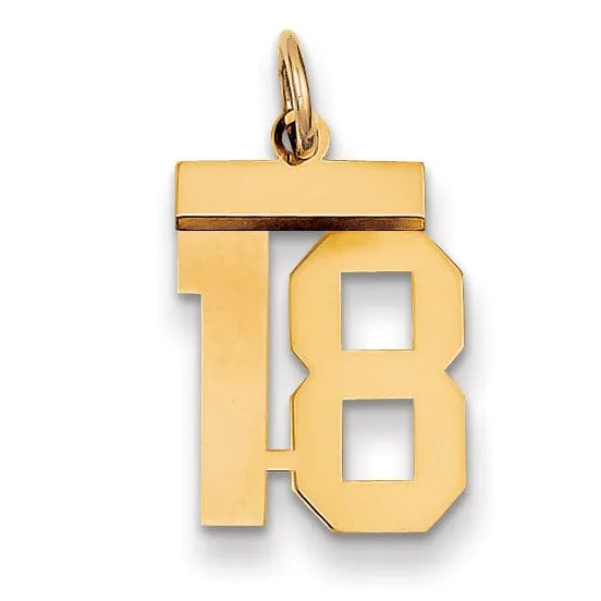 14k Yellow Gold Polished Finish Small Size Number 18 Charm Pendant