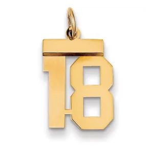 14k Yellow Gold Polished Finish Small Size Number 18 Charm Pendant