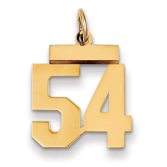 14k Yellow Gold Polished Finish Small Size Number 54 Charm Pendant