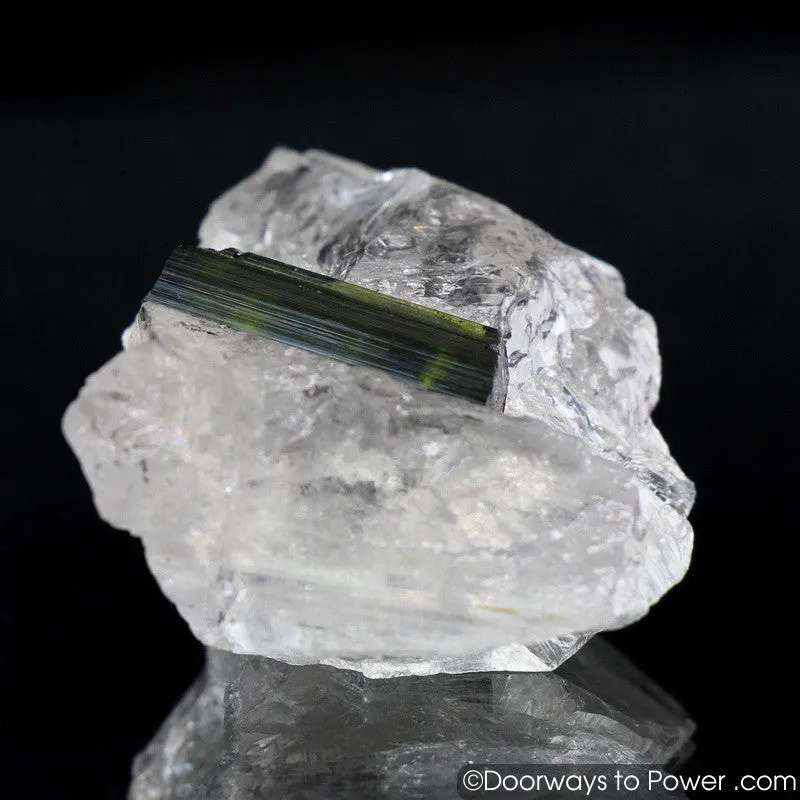 Green Tourmaline in Quartz Crystal 'Perfection' A    