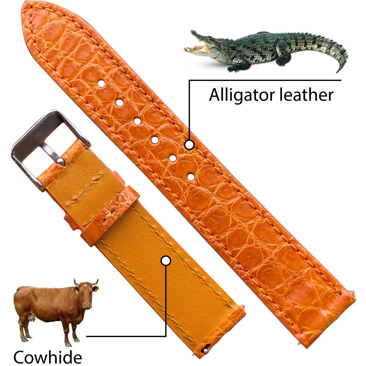 Orange Carrot No-Padding Alligator Leather Watch Band | DH-29