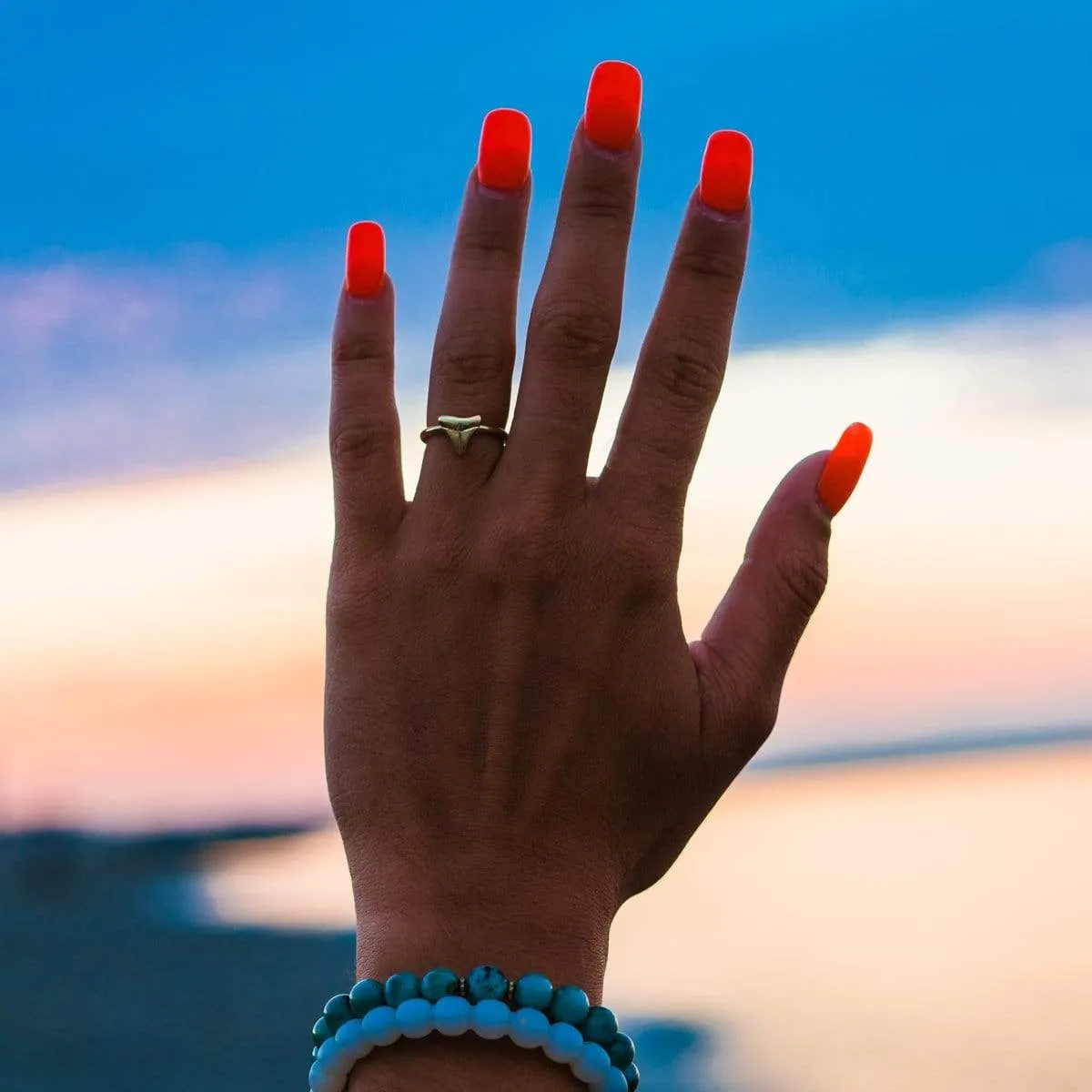 Shark Tooth Rings