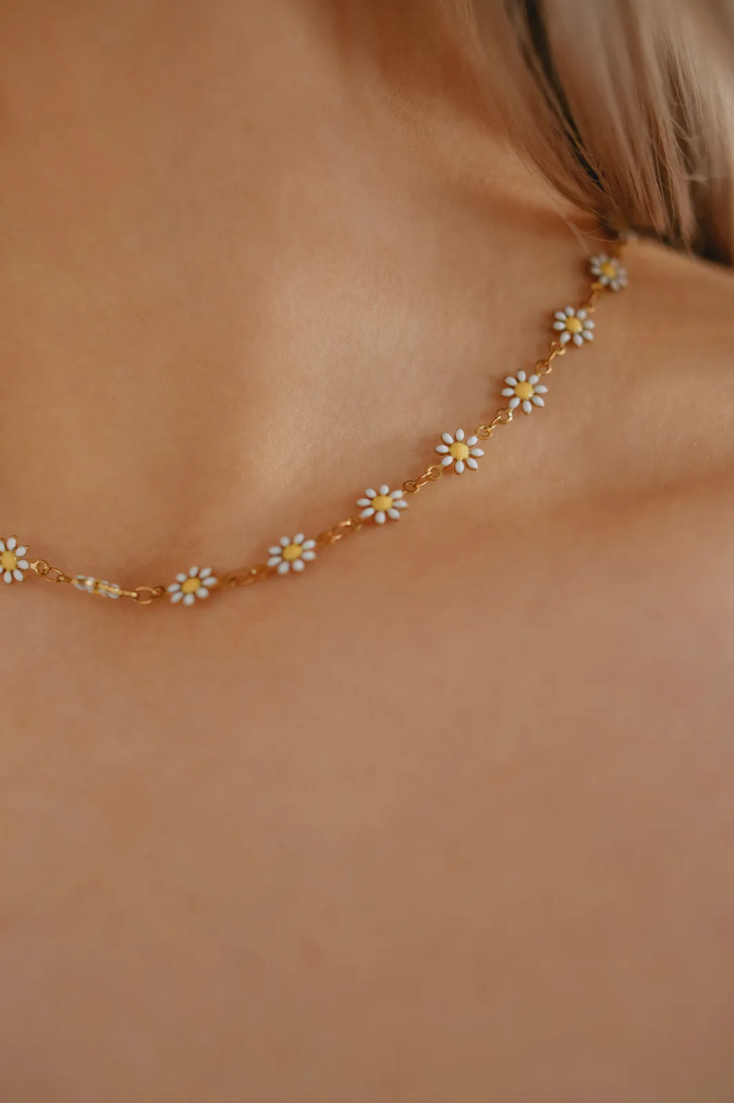 The Lure Daisy Choker Necklace